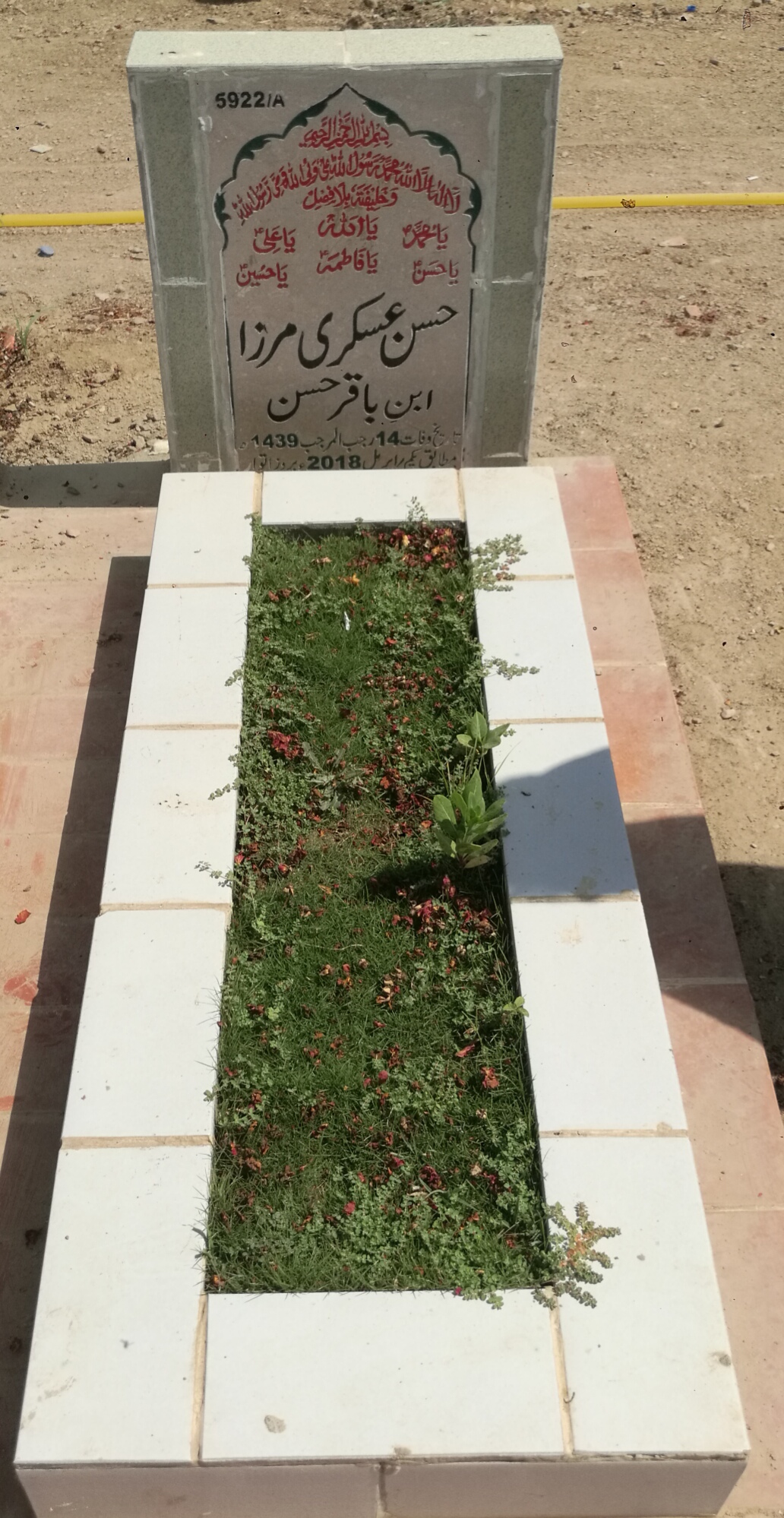 15922 – Hassan Askari Mirza