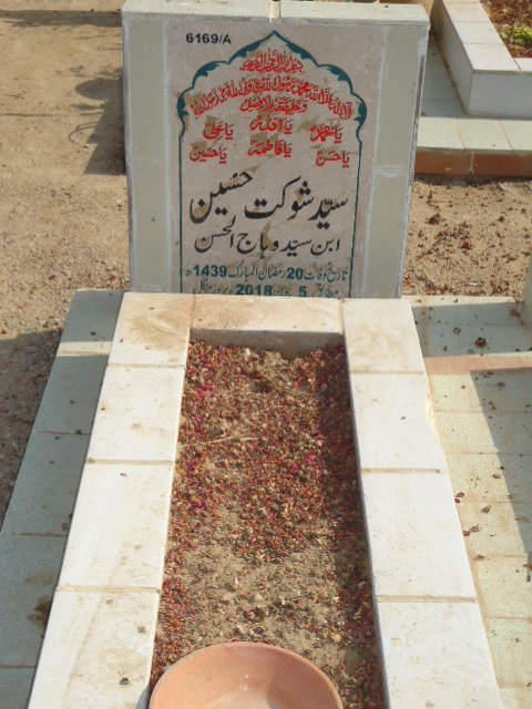 16169 – Syed Shoukat Hussain