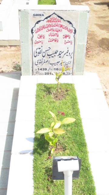 16469 – Prof Syed Habib Hassan Naqvi