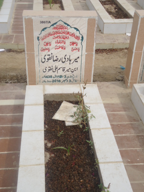 13807 – Mir Hadi Raza Naqvi