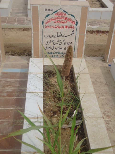 13816 – Shamsa Raza ( Berjees Fatima)