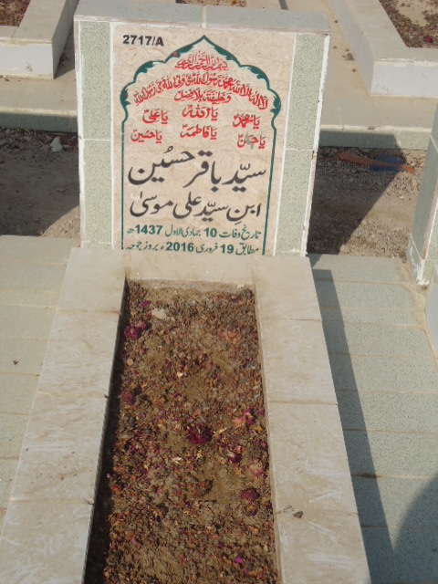 12717 – Syed Baqar Hussain