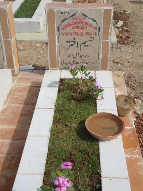 14397 – Naseem Akhtar