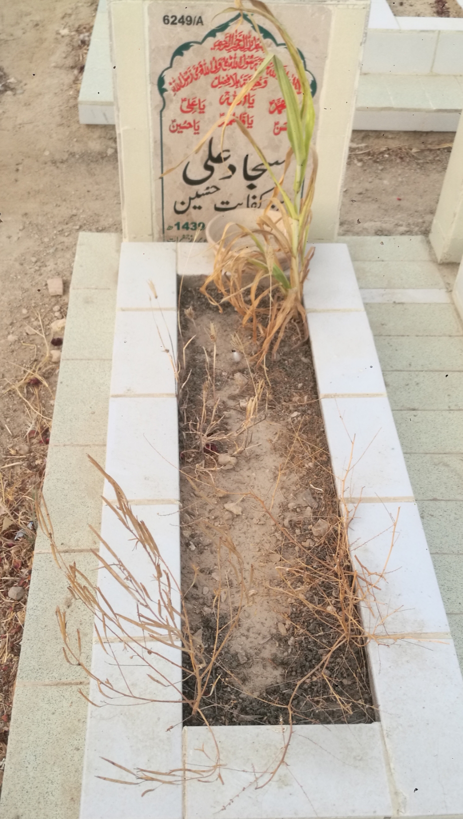 16249 – Sajjad Ali