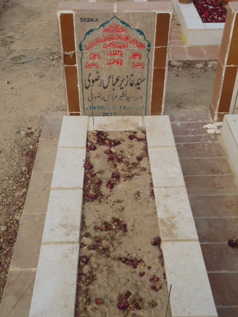 15524 – Syed Ghazir Abbas Rizvi