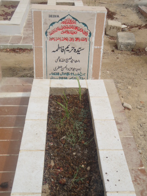 13839 – Syeda Hareem Fatima