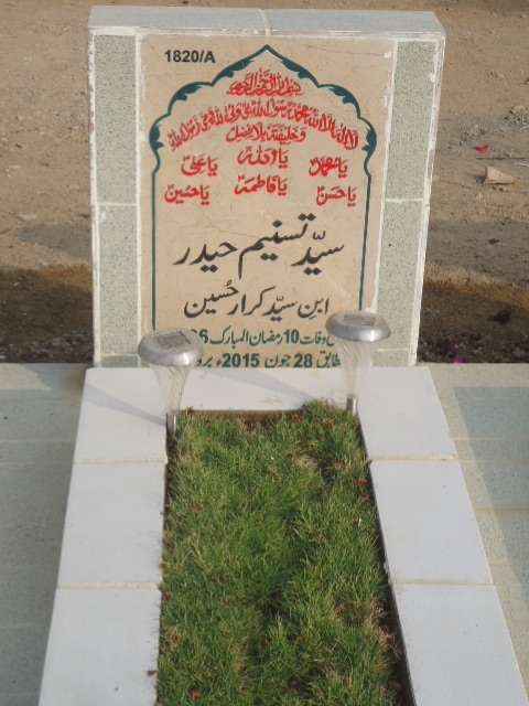 11820 – Syed Tasneem Haider