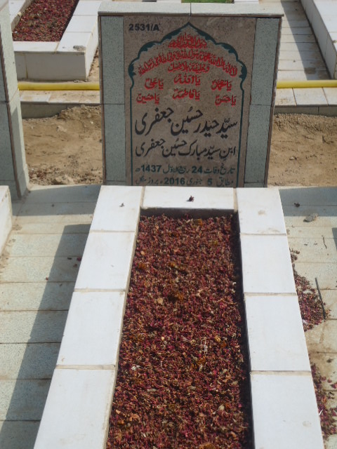 12531 – Syed Haider Hussain Jaffery