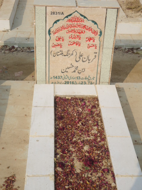 12831 – Qurban Ali