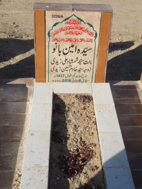 13228 – Syeda Ameen Bano