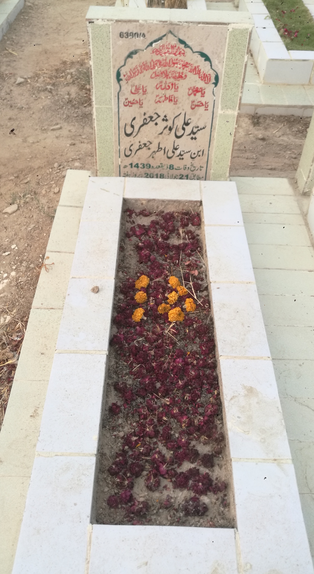 16380 – Syed Ali Kausar Jaffery