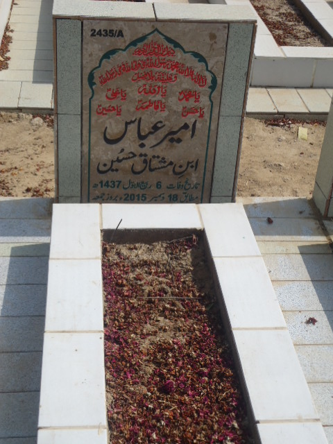 12435 – Ameer Abbas