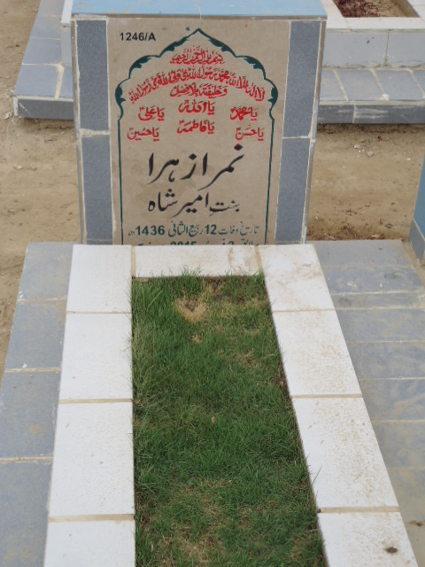 11246 – Minra Zehra