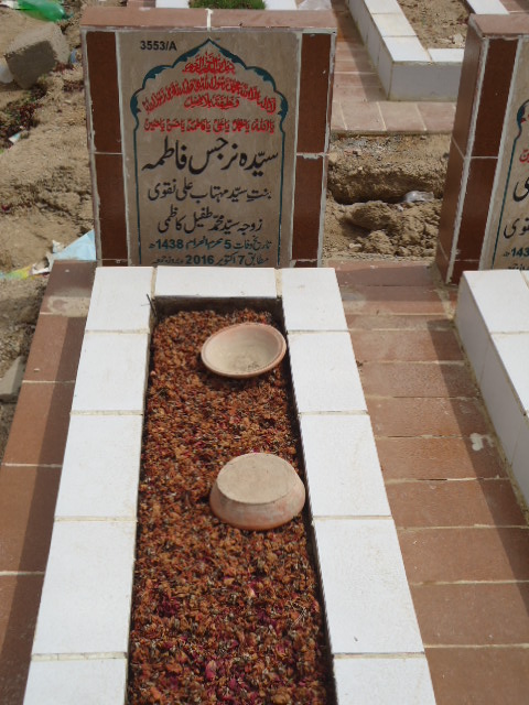 13553 – Syeda Narjis Fatima