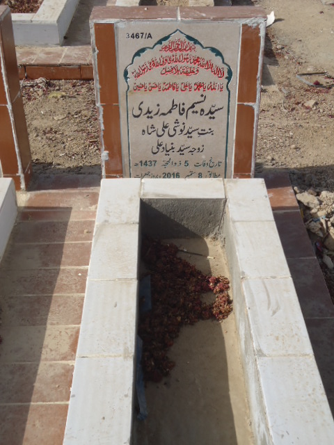 13467 – Syeda Naseem Fatima Zaidi