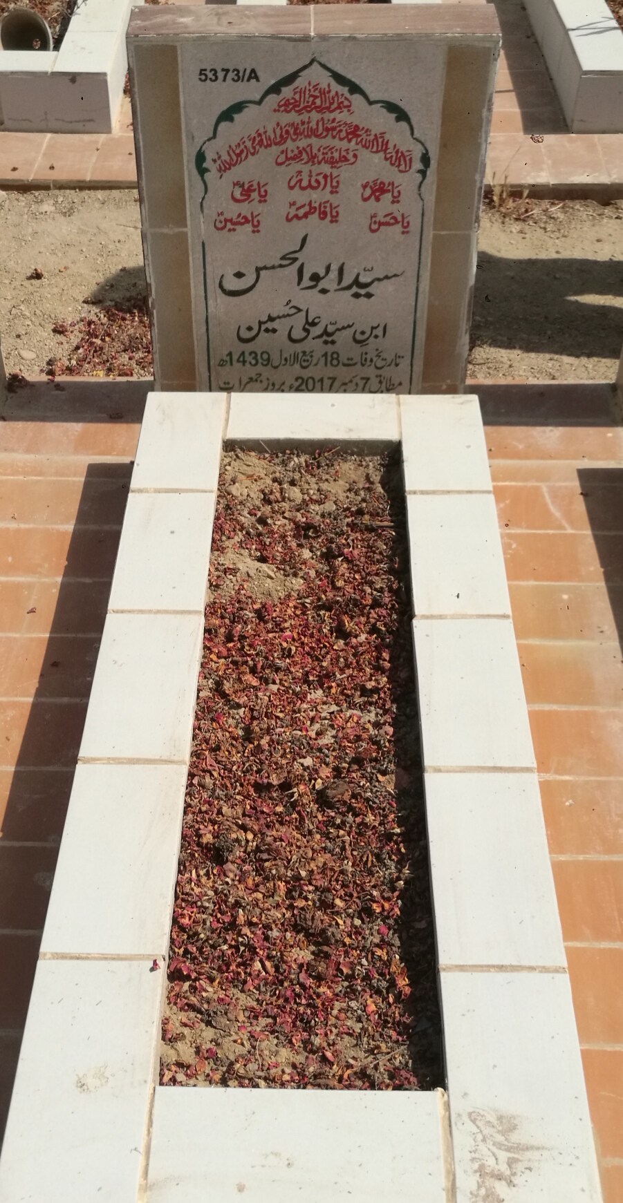 15373 – Syed Abul Hassan