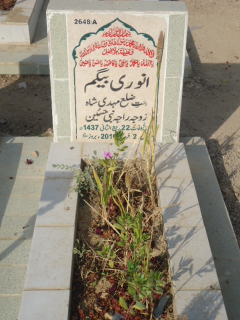 12648 – Anwari Begum