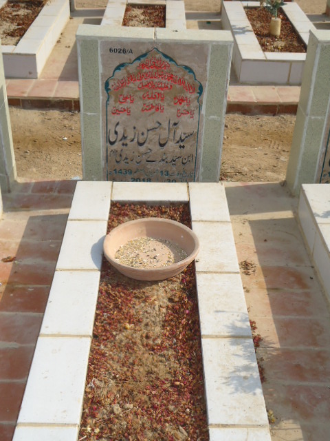 16026 – Syed Alay Hassan Zaidi