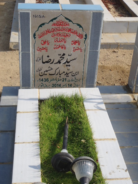 11015 – Syed Muhammad Raza Naqvi