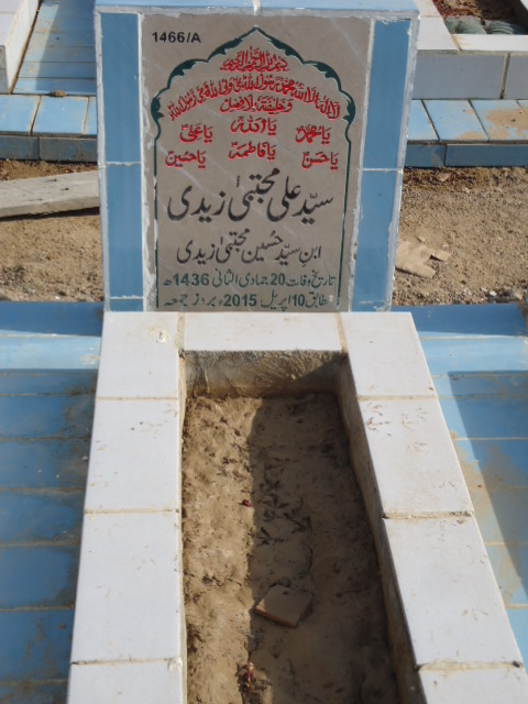 11466 – Syed Ali Mujhtaba Zaidi