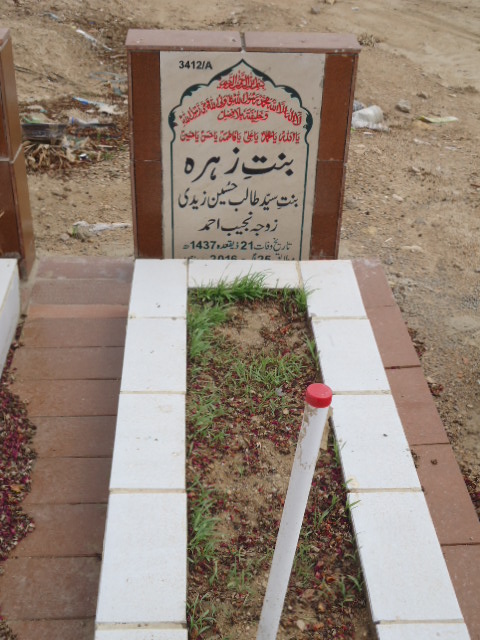 13412 – Binte Zehra