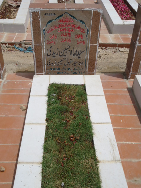 14929 – Syeda Mahjabeen Zaidi