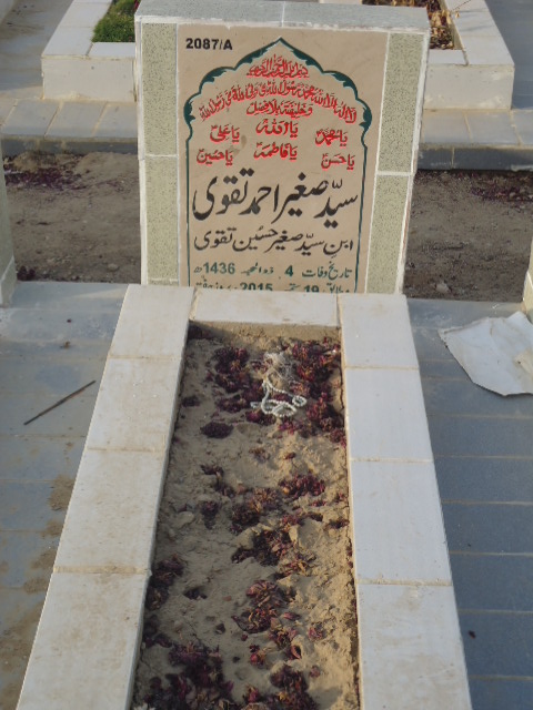 12087 – Syed Sagheer Ahmed Taqvi