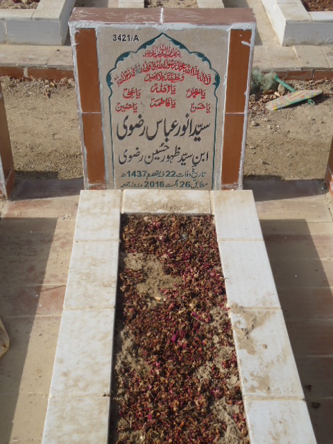 13421 – Syed Anwar Abbas Rizvi