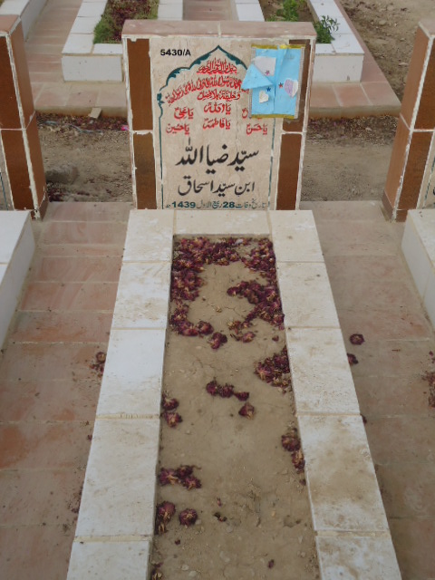 15430 – Syed Zia Ullah
