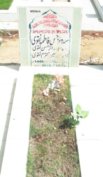 16556 – Syeda Narjis Fatima Naqvi
