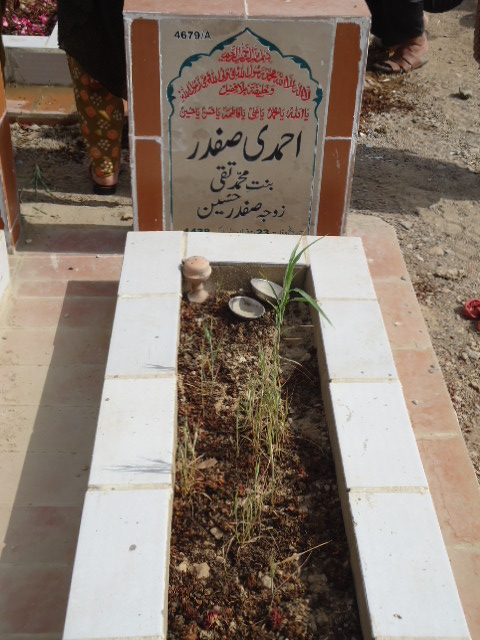 14679 – Ahmedi Safdar
