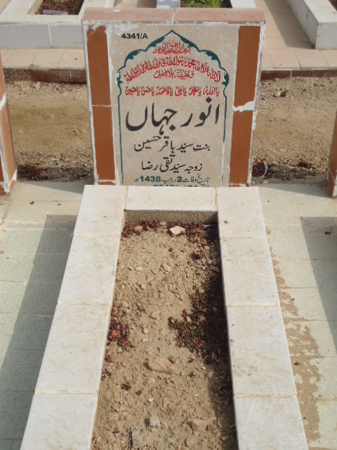 14341 – Anwar Jahan