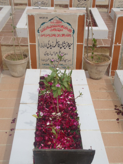 14137 – Syeda Zeeshan Fatima Zaidi