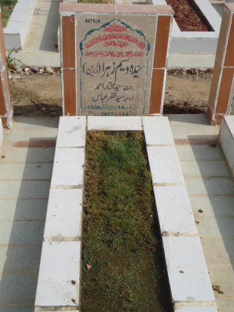 14278 – Syeda Waseem Zehra