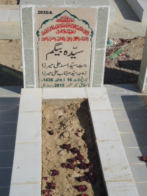 12035 – Syeda Begum