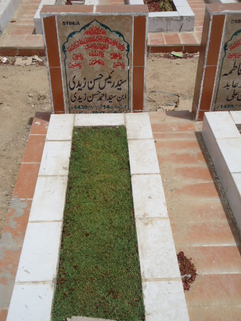 15104 – Syed Raees Hassan Zaidi