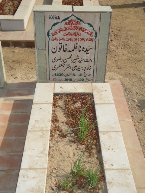 16009 – Syeda Nazima Khatoon