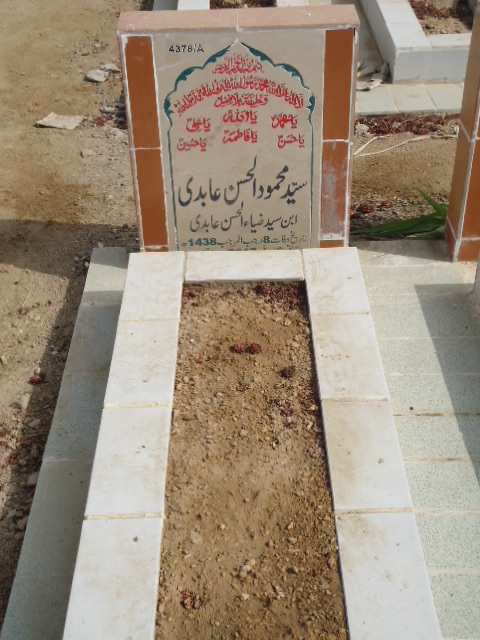 14378 – Syed Mehmood Ul Hassan Abidi