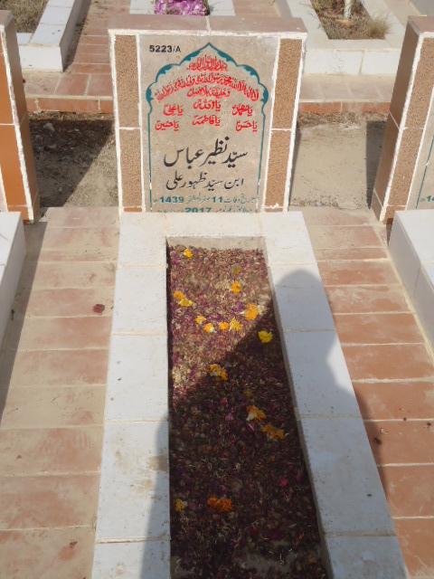 15223 – Syed Nazeer Abbas
