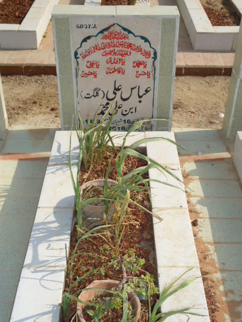 16037 – Abbas Ali