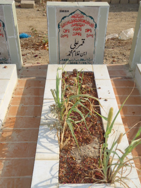 15969 – Qamar Ali
