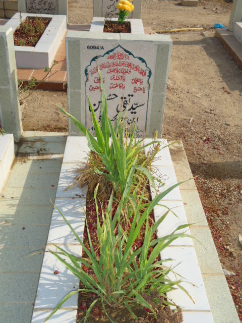 16094 – Syed Taqi Hussain