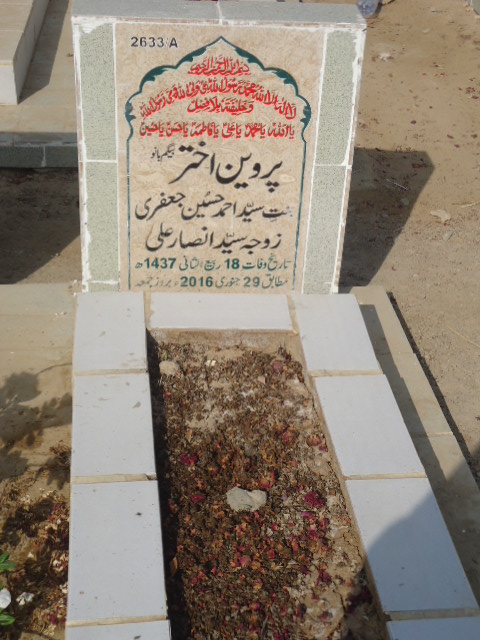 12633 – Parveen Akhtar