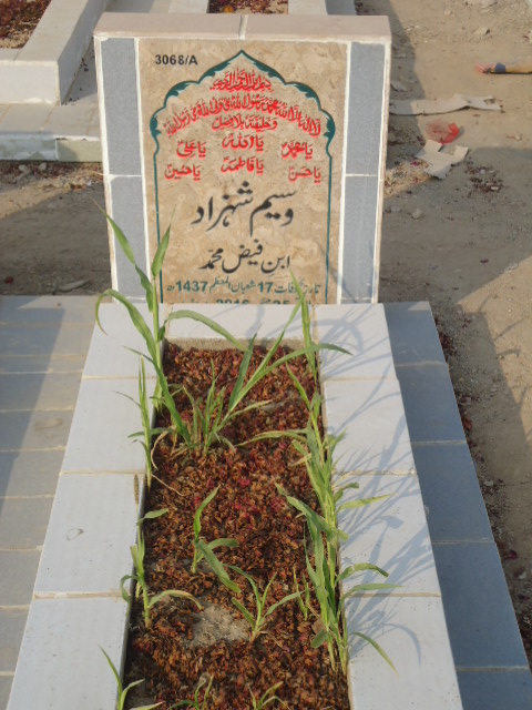 13068 – Waseem Shahzad