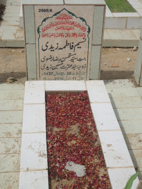 12565 – Naseem Fatima Zaidi