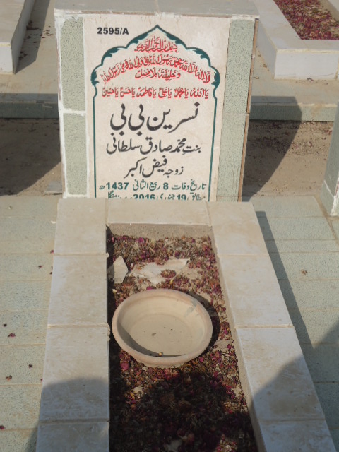 12595 – Nasreen Bibi