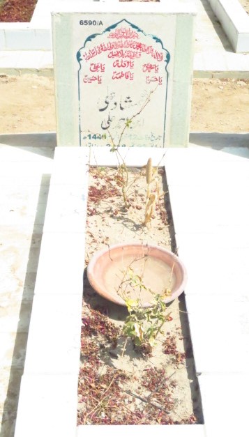 16590 – Shamshad Ali