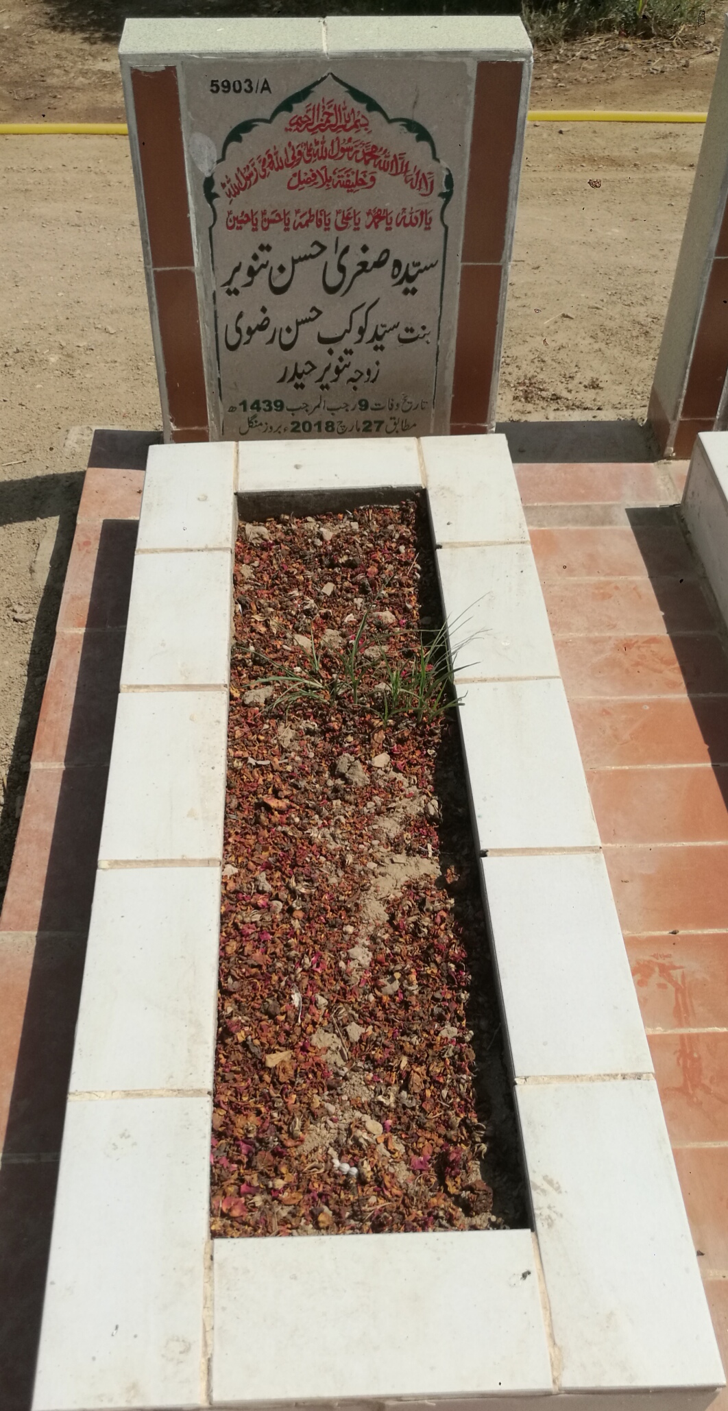15903 – Syeda Sughra Hassan Tanveer