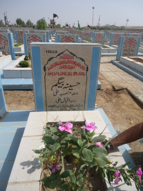 11563 – Haseena Begum