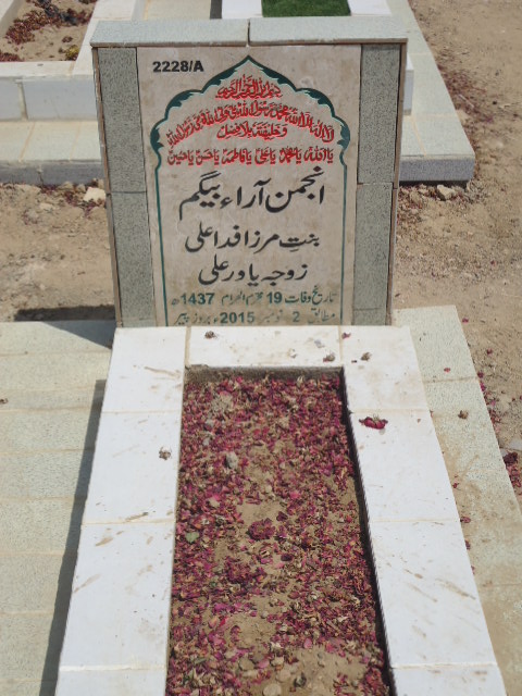 12228 – Anjum Arra Begum